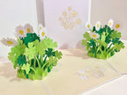 3D Pop-Up Grußkarte mit Gänseblümchen und Klee, zum Geburtstag, handgefertigt, 15x20 cm, mit Umschlag