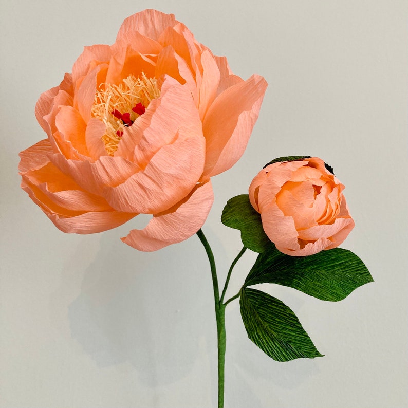Korallenfarbene Pfingstrose aus Krepppapier, handgefertigter Blumenstiel