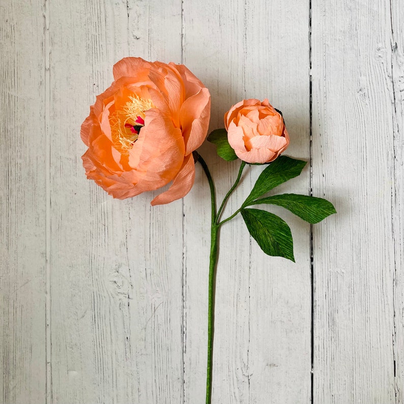 Korallenfarbene Pfingstrose aus Krepppapier, handgefertigter Blumenstiel