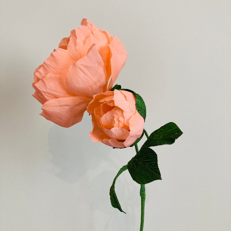 Korallenfarbene Pfingstrose aus Krepppapier, handgefertigter Blumenstiel