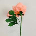 Korallenfarbene Pfingstrose aus Krepppapier, handgefertigter Blumenstiel