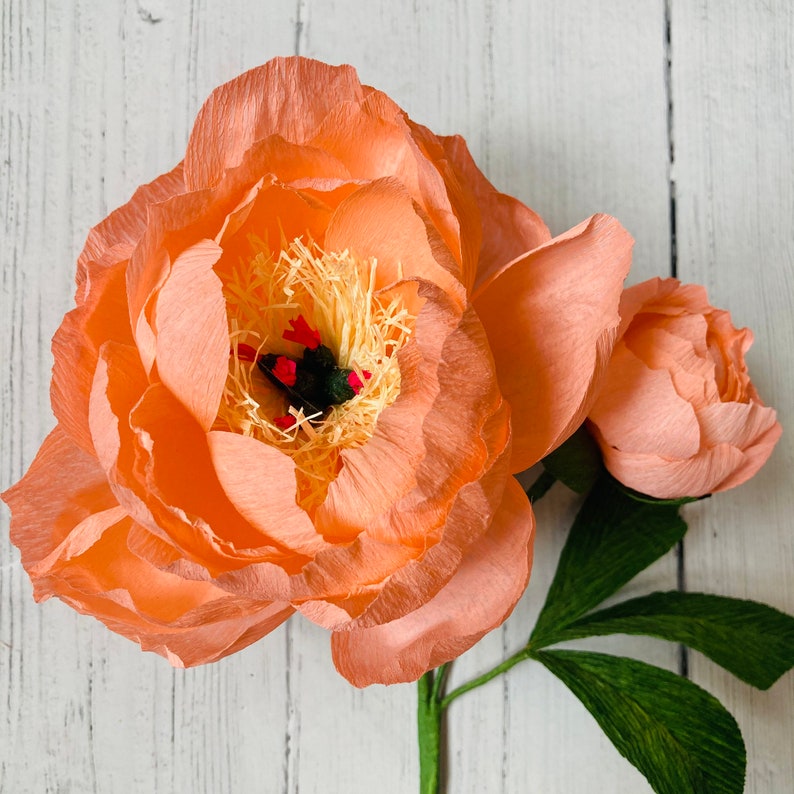 Korallenfarbene Pfingstrose aus Krepppapier, handgefertigter Blumenstiel