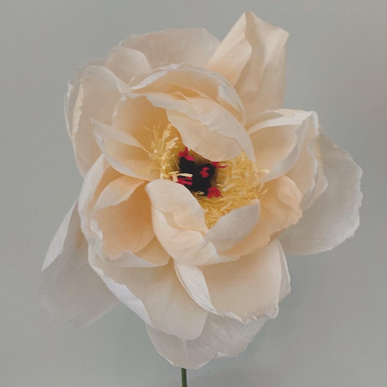 Pfingstrose aus Krepppapier, handgefertigte Kunstblume, realistische Blumendeko