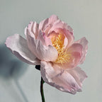 Pfingstrose aus Krepppapier, handgefertigte Kunstblume, realistische Blumendeko