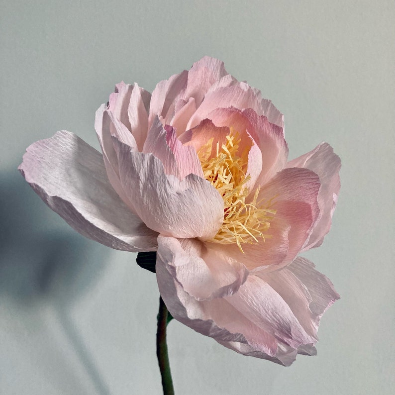 Pfingstrose aus Krepppapier, handgefertigte Kunstblume, realistische Blumendeko