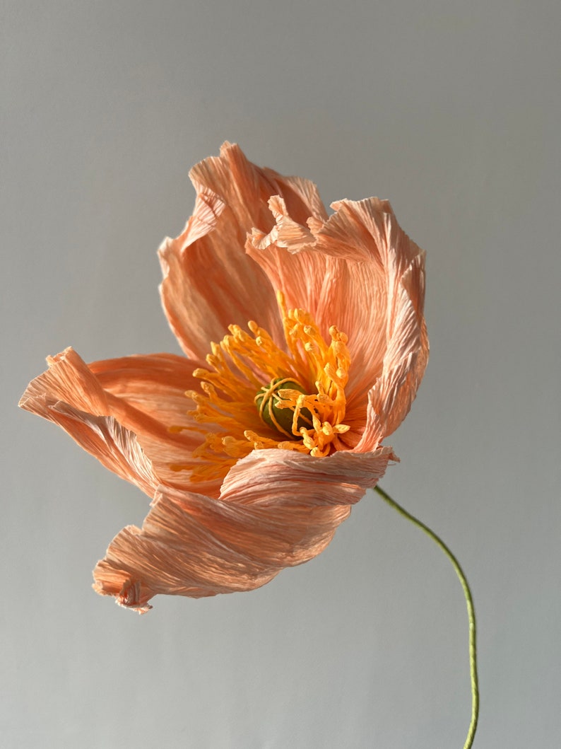 Isländische Mohnblumensträuße aus Krepppapier, 5 Stiele, Höhe 39 cm