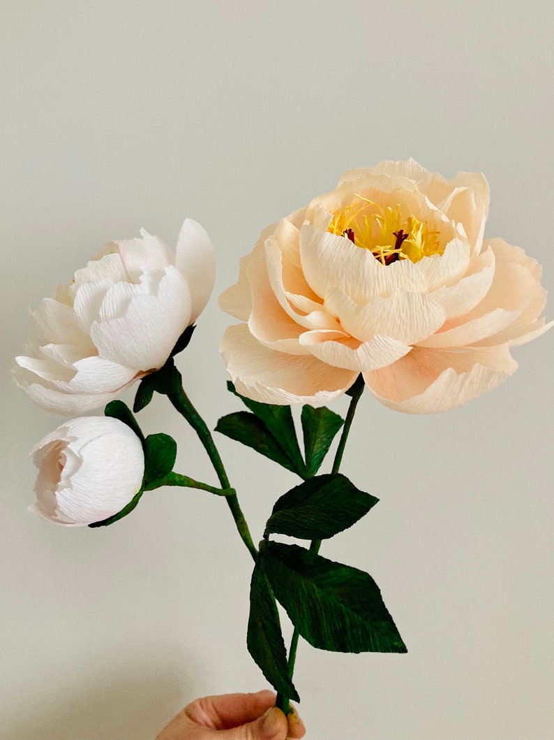 Pfingstrose aus Krepppapier, handgefertigte Kunstblume, realistische Blumendeko