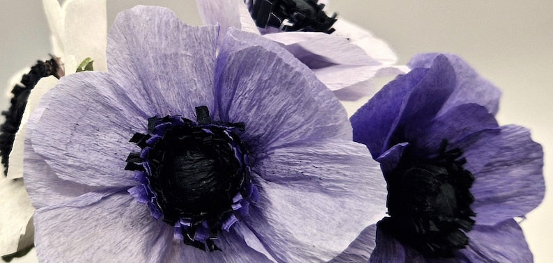Anemonen aus Krepppapier DIY Kit für 8 Blumen mit Anleitung