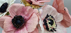Anemonen aus Krepppapier DIY Kit für 8 Blumen mit Anleitung