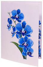 Pop Up 3D Karte Blume Orchidee Blau – Grußkarte mit Umschlag, Klappkarte 11,5 x 17 cm