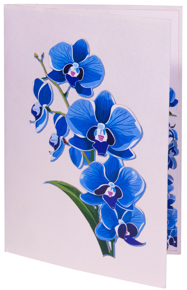 Pop Up 3D Karte Blume Orchidee Blau – Grußkarte mit Umschlag, Klappkarte 11,5 x 17 cm