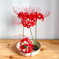 Krepppapier Spinnenlilie, handgefertigt, japanisches Ikebana, Papierblume für Hochzeitssträuße, Deko, Geschenk