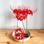 Krepppapier Spinnenlilie, handgefertigt, japanisches Ikebana, Papierblume für Hochzeitssträuße, Deko, Geschenk