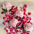Krepppapier Pfingstrosen 30 cm, realistische Blumen für Hochzeitsdeko, 2-9 Stiele