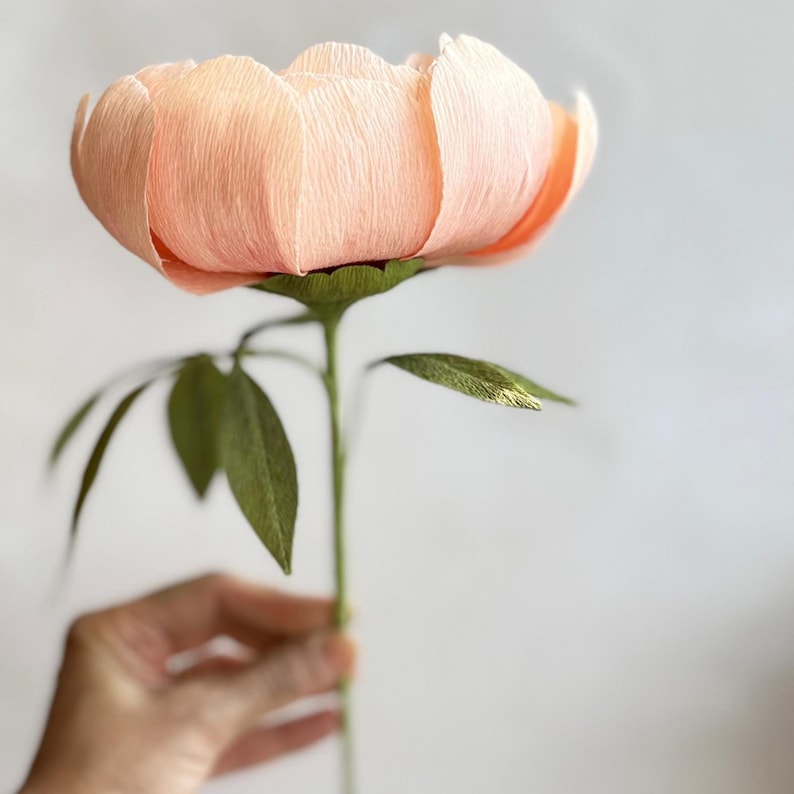 Coral Charm Peony Einzelstiel, handgefertigtes Krepppapier, 30cm, Pfirsich, Hochzeitsgeschenk