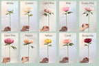 Coral Charm Peony Einzelstiel, handgefertigtes Krepppapier, 30cm, Pfirsich, Hochzeitsgeschenk