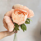 Coral Charm Peony Einzelstiel, handgefertigtes Krepppapier, 30cm, Pfirsich, Hochzeitsgeschenk