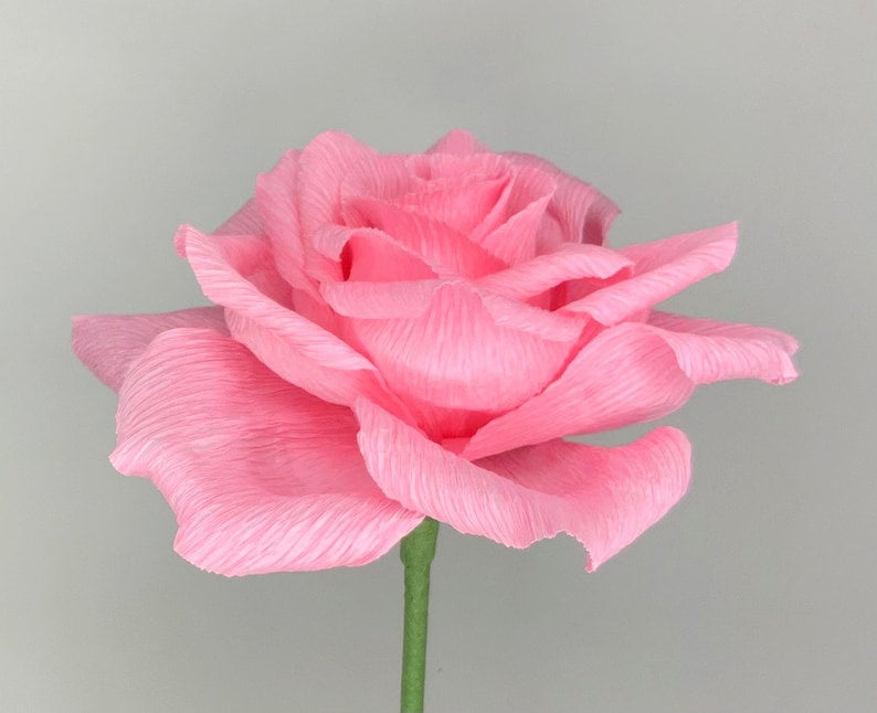 Krepppapier Rose, handgefertigt, 12 Zoll Stiel, 6 Zoll Blüte, Hochzeitsstrauß, Wohnkultur, Geschenk