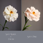 Schmetterlings-Ranunkeln aus Krepppapier, künstliche Papierblumen Deko, 30 cm, Rosa/Weiß-Creme, Mehrfarbig