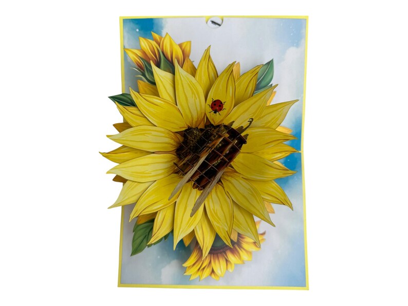 3D Pop-Up Geburtstagskarte Biene & Sonnenblume
