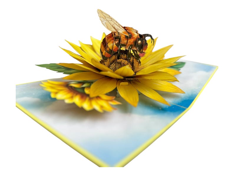 3D Pop-Up Geburtstagskarte Biene & Sonnenblume