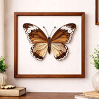 Quilling Schmetterling Wandkunst, gerahmte Papierkunst, 3D Papierquilling, 20 x 20 cm