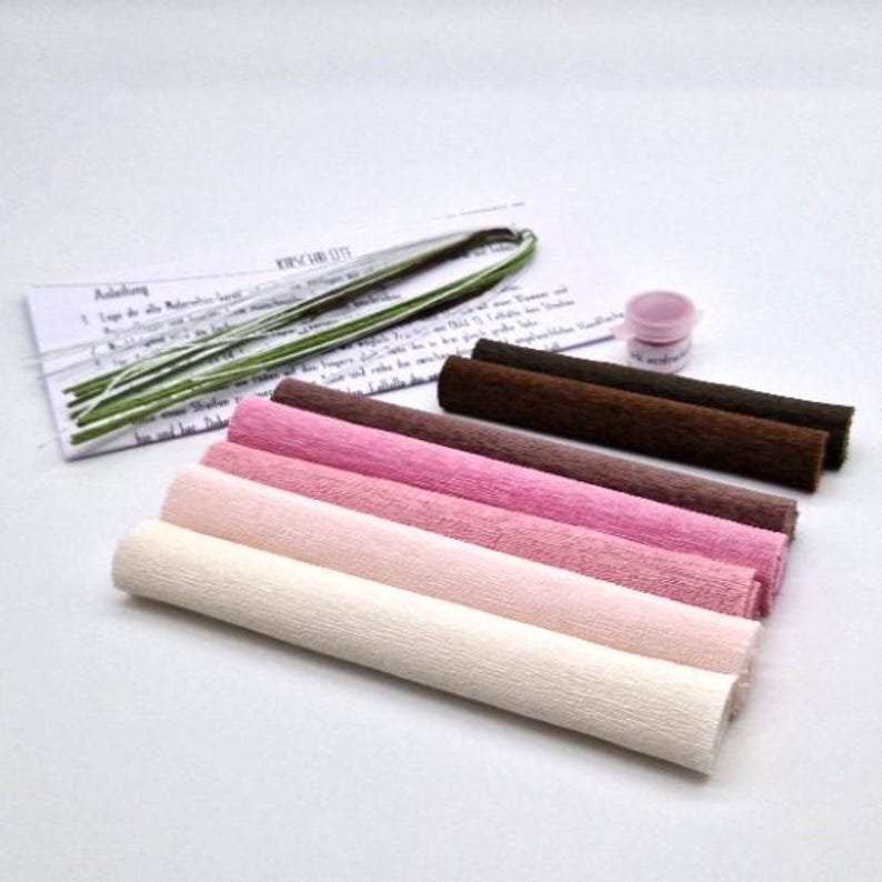 Kirschblüten DIY Kit aus Krepppapier, 4 Zweige oder 75 Blüten, 5 Farben