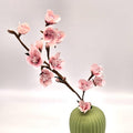 Kirschblüten DIY Kit aus Krepppapier, 4 Zweige oder 75 Blüten, 5 Farben