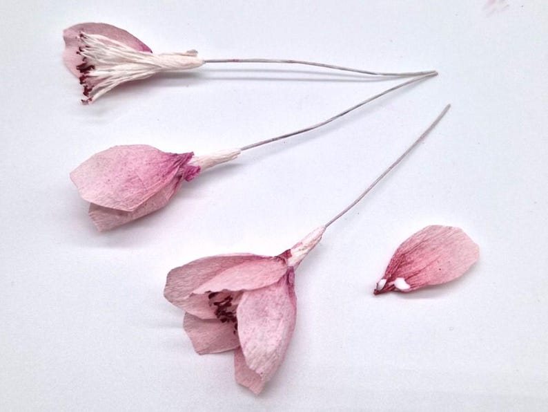 Kirschblüten DIY Kit aus Krepppapier, 4 Zweige oder 75 Blüten, 5 Farben