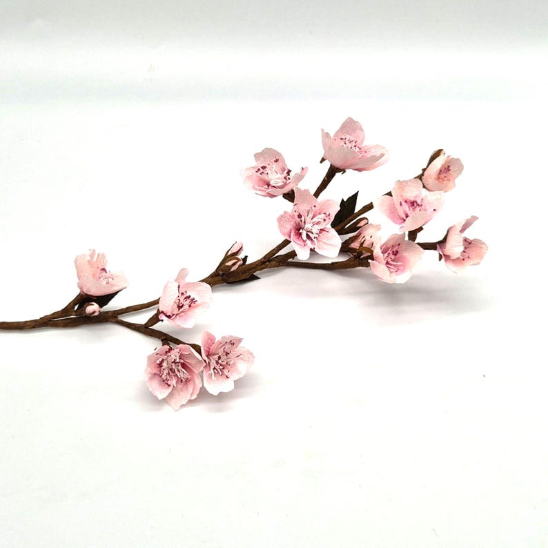 Kirschblüten DIY Kit aus Krepppapier, 4 Zweige oder 75 Blüten, 5 Farben