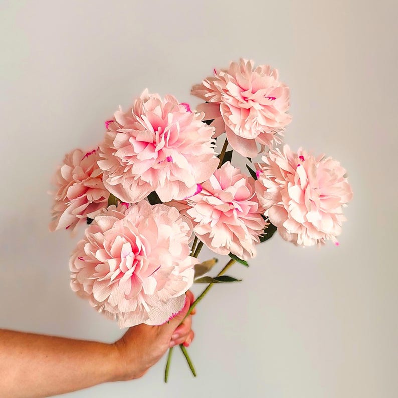 Krepppapier Pfingstrosen 30 cm, realistische Blumen für Hochzeitsdeko, 2-9 Stiele
