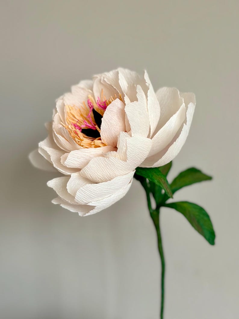 Pfingstrose aus Krepppapier, handgefertigte Kunstblume, realistische Blumendeko