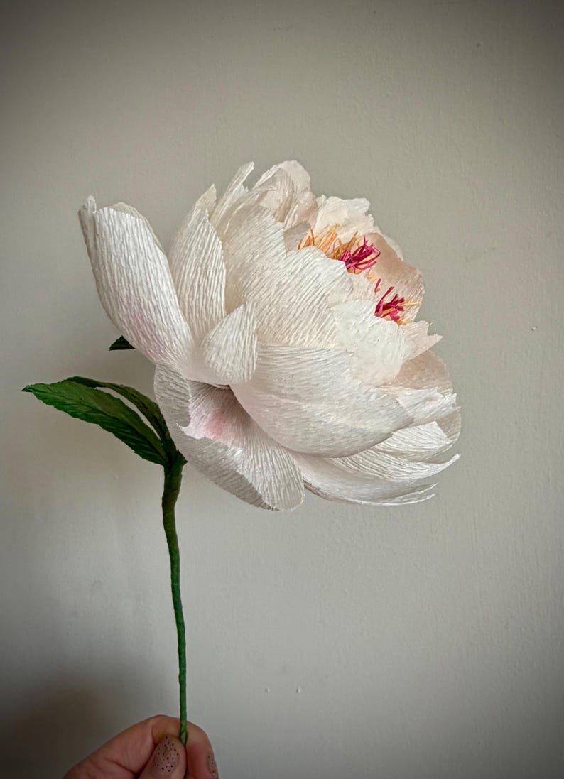 Pfingstrose aus Krepppapier, handgefertigte Kunstblume, realistische Blumendeko