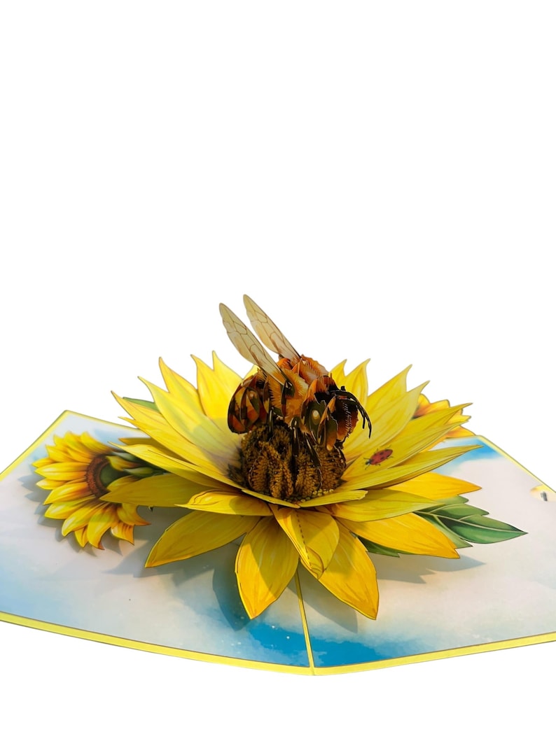 3D Pop-Up Geburtstagskarte Biene & Sonnenblume